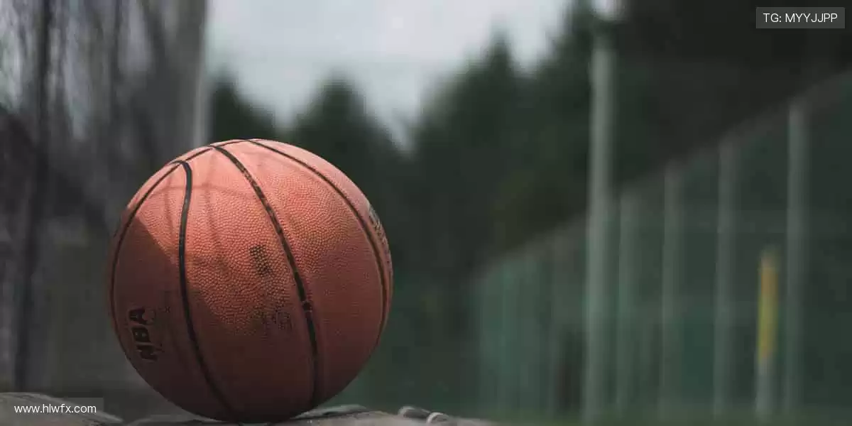 ⚾️从本土联赛到国际巅峰,我们承包你的所有热爱!🌍